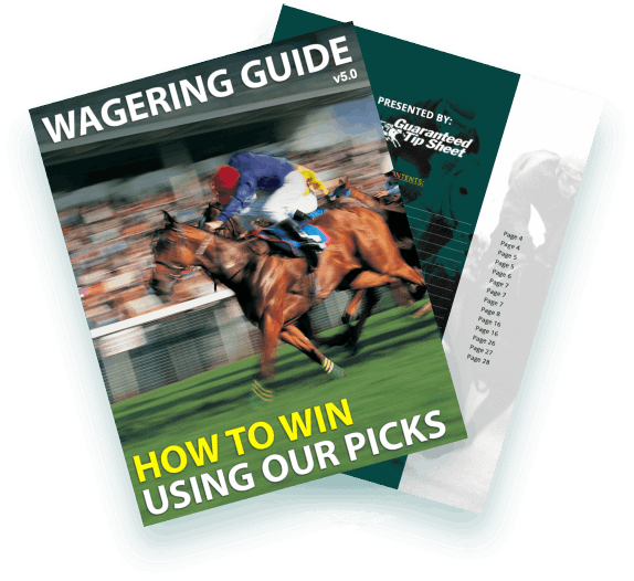 Wagering Guide