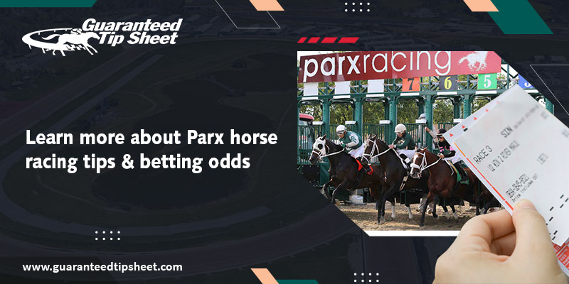 Parx horse racing tips and betting odds