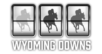 Wyoming Downs